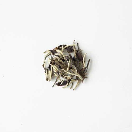 Premium Bai Hao Silver Needle – Exquisite White Tea
