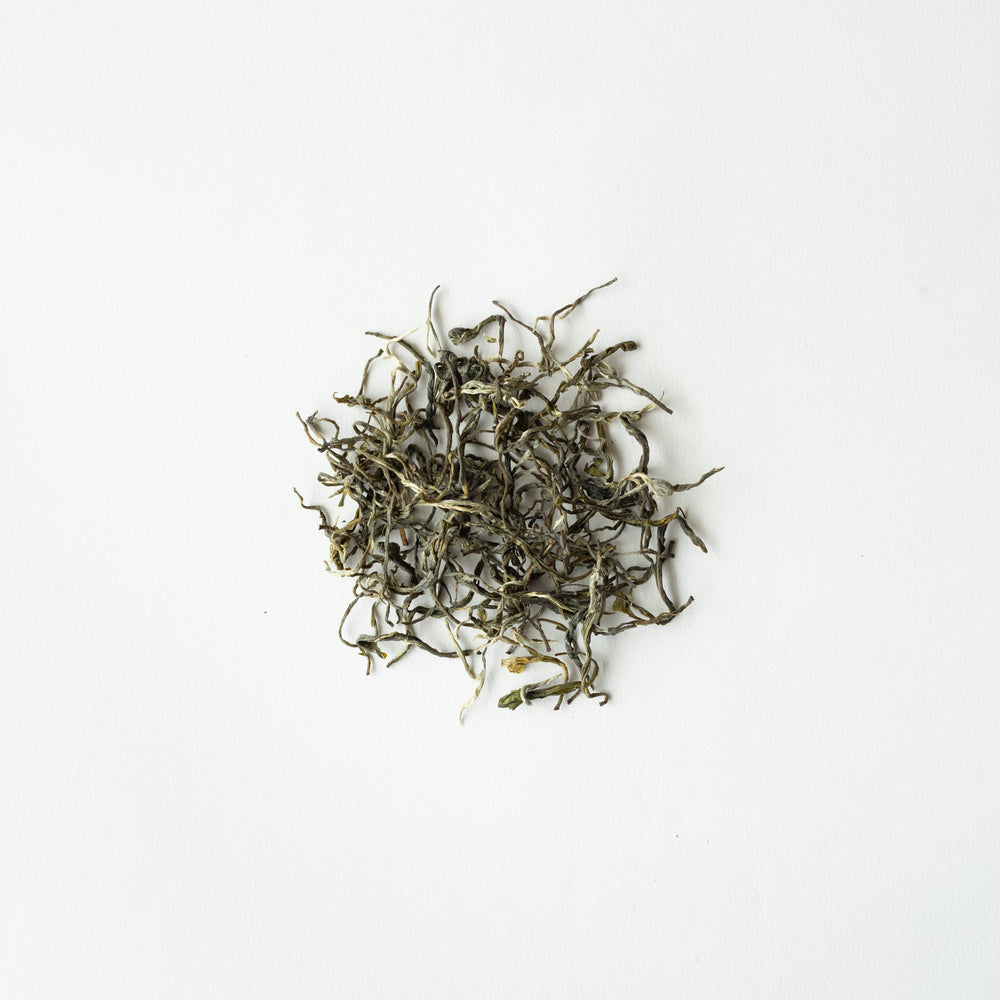 Premium Maofeng Green Tea – The Essence of Huangshan’s Misty Peaks
