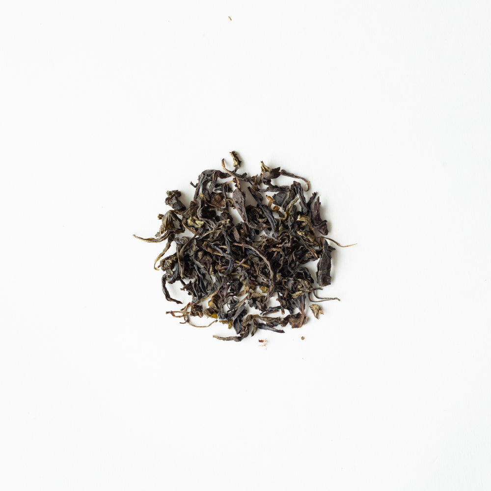 Premium Dancong – Phoenix Mountain Single Bush Oolong