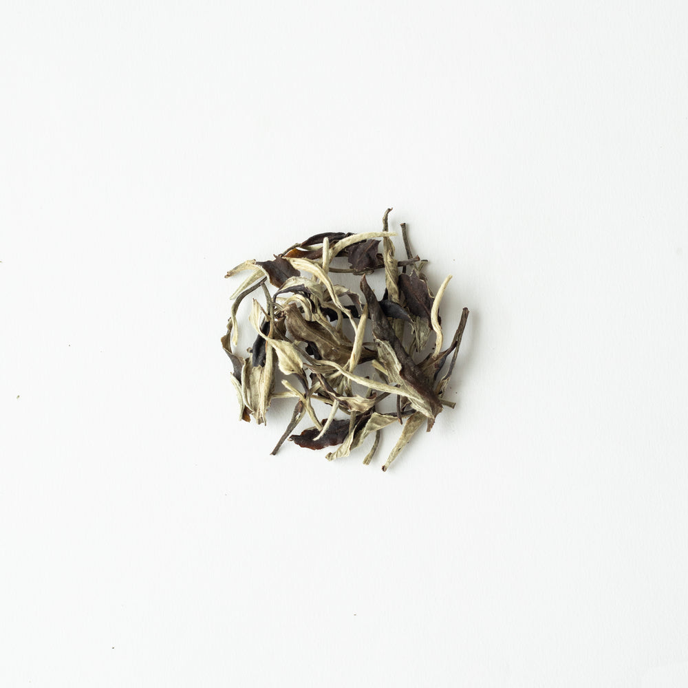 Premium Bai Hao Silver Needle – Exquisite White Tea