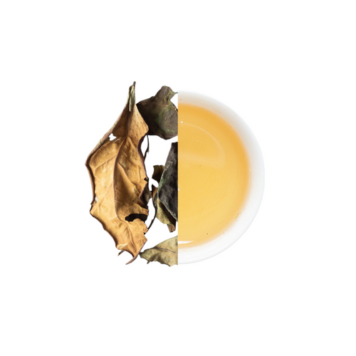Premium White Tea Shou Mei – Rich & Full-Bodied